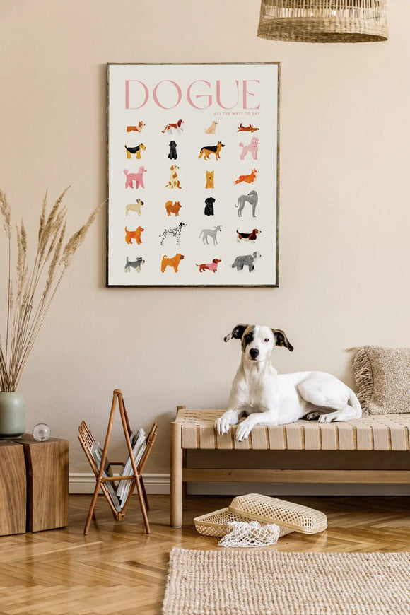 Dogue poster by All the Ways to Say displayed above a wooden bench with a white dog lying beneath