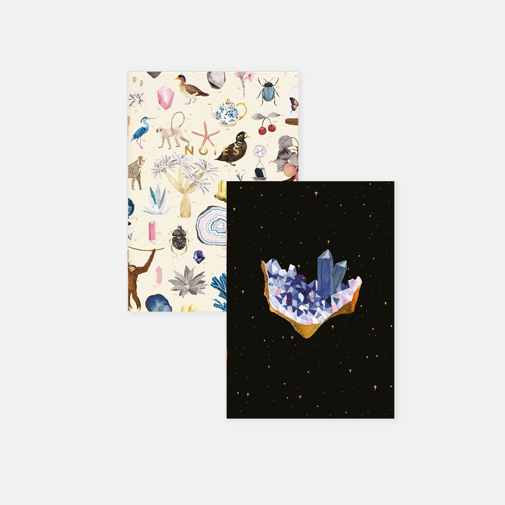 Curiosity Journal Notebook Curiosity - Pocket Notebook A6 DUO – ATWS USA