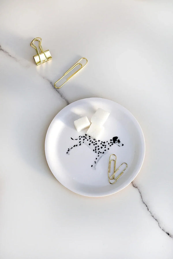 Decorative round tray with a Dalmatian print surrounded by plants, coffee cup and gold accessories — All the Ways to Say home decor.